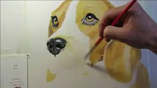 How to Paint a Beagle Dog - 6 Minute Painting Tutorial