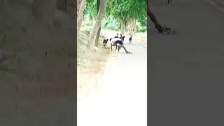 skating #masti#funny #video #Learn#shorts 😀😀😀😀😀
