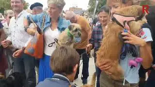 Saint-Hubert à Gien : la bénédiction des animaux