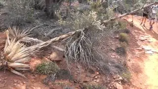 Brins Mesa Hike