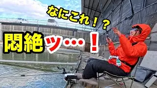 初めてのヘラブナ床釣りでまさかの展開！？