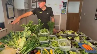 Bumper end of May harvest ~ almost the end of the hungry gap!