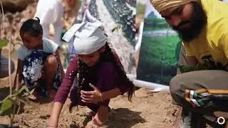 Creating mini forests on personal land. Bringing greenery to Punjab.