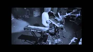 The White Rabbit - Revenge