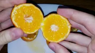 Citrus clementina Comune / Clementine Comune (Клементин Комуне)