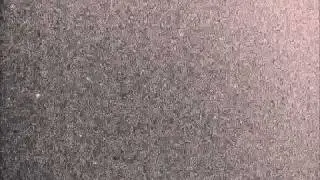 20110408 20110414