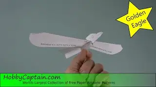Paper Plane, Golden Eagle:  Folding Instructions