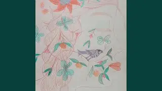 Crystal Ocean