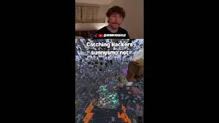 Catching hackers on sunnysmp.net (Portrait)