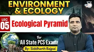 Environment & Ecology : Ecological Pyramid | For All State PCS Exam | By Siddharth Sir | StudyIQ