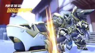 Reinhardt Carry