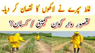Identifying cause of wrong pesticide spray | fake product / misapplication