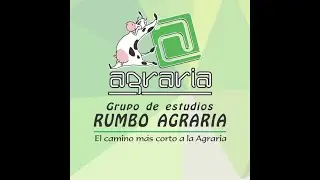 RAZ. MATEM&Aacute;TICO - L&Oacute;GICA DE CLASE I