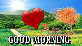 Good Morning Love Video Hindi Quotes Whatsapp Video | Facebook Video | Instagram Video