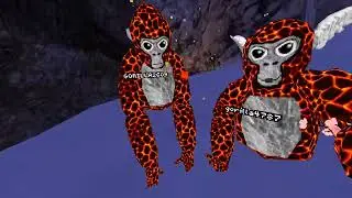 1st video yippi