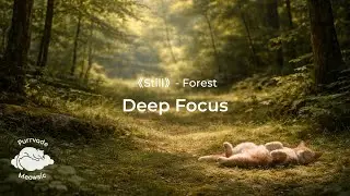 432Hz | Deep Focus Music | Still – Forest