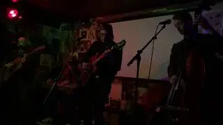 Sean Pratt and McCarthy Trenching, Live at O'Leaver's Pub, Omaha, NE (2/8/2019)