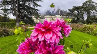 Between the Loire and Luxury: A Complete Guide to the Ch&acirc;teau de Chaumont