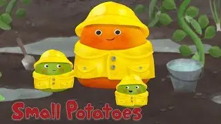 Small Potatoes - I&rsquo;m a Little Raindrop