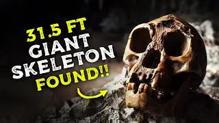 Giant Human Fossil Found in India - Proof that our ancestors were giants!