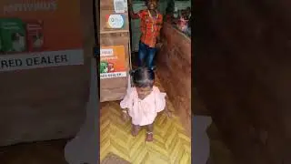 foxin moniter