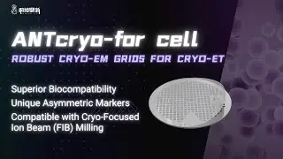 ANTcryo-for cell: Robust Cryo-EM Grids For Cryo-ET