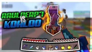 raulderp7 vs koaloo