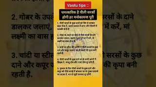 Vastu Tips: चमत्कारिक है पीली सरसों, होगी हर मनोकामना पूरी 