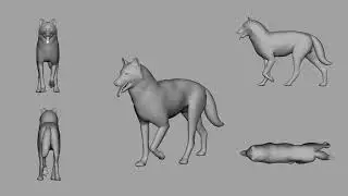 Wolf Walk Cycle Animation