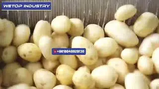02 potato brush roller washing machine
