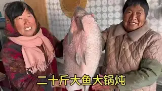 今天改善伙食，中午二十斤大草鱼，铁锅炖上配菜齐，围着盆吃过瘾