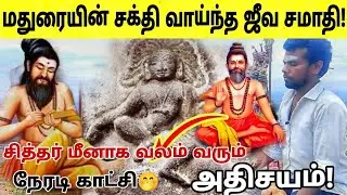 சக்தி வாய்ந்த திருப்பரங்குன்றம் சித்தர் | machamuni siddhar history | machamuni | thiruparan‍kundram