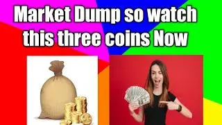 Cryptocurrency Market Dump || So watch this three Coins Now |Hk KrypTech