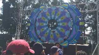 Major 7 @Fun Factory festival Morelia 2020