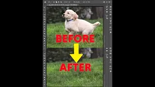 Lasso  + Content Aware Tool. Quick Object Removal #Shorts
