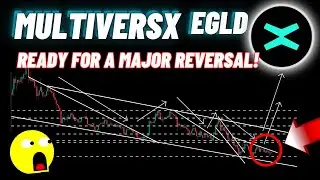 Грядет прорыв EGLD? MultiversX готов к серьёзному развороту!