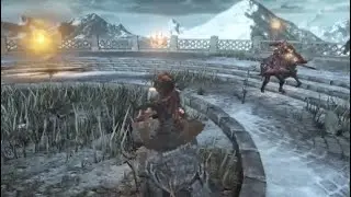Parry cancel (Small Leather Shield)