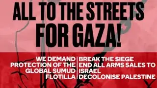 #palestine protest #parliament #london #livestream