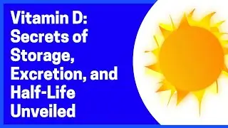 Vitamin D: Secrets of Storage, Excretion, and Half-Life Unveiled