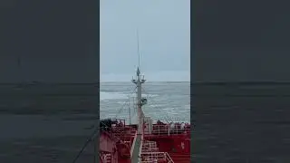 Ice Navigation at Saint Petersburg ⚓️🌊🛟🚢
