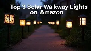 Top 3 Solar Pathway Lights on Amazon