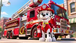 🐾 Little Paw Patrol Adventure! 🐾