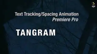 Text Tracking in PremierePro