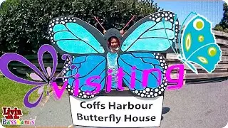 Butterfly House Coffs Harbour NSW Things To Do In Coffs Harbour New South Wales.