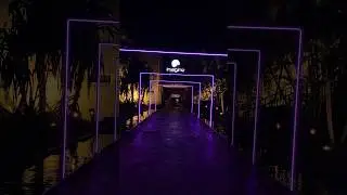 Clubbing in a Cave in Punta Cana 🇩🇴