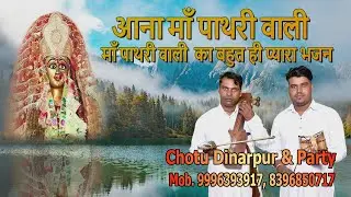 Aaja Maa Pathri Wali | Latest Pathri Maa Bhajan 2022 | Chotu & Party Dinarpur Wale | Mata Ki Chowki