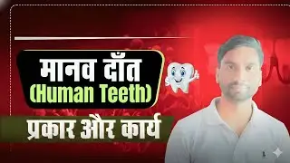 Human Teeth| मानव दांत | Type of Teeth| Part 2 by Naushad Sir