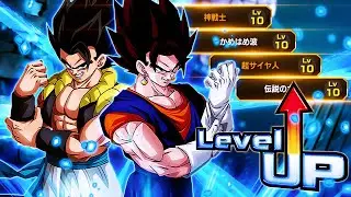 THE FUSIONS ON TOP! LEVEL 10 LINKS 100% RAINBOW STAR LR BLUE GOGETA & VEGITO! (DBZ: Dokkan Battle)