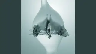 Terrestrial