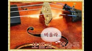 Wohlfahrt Viola Etude No.3 (볼파르트 비올라 연습곡 3번)